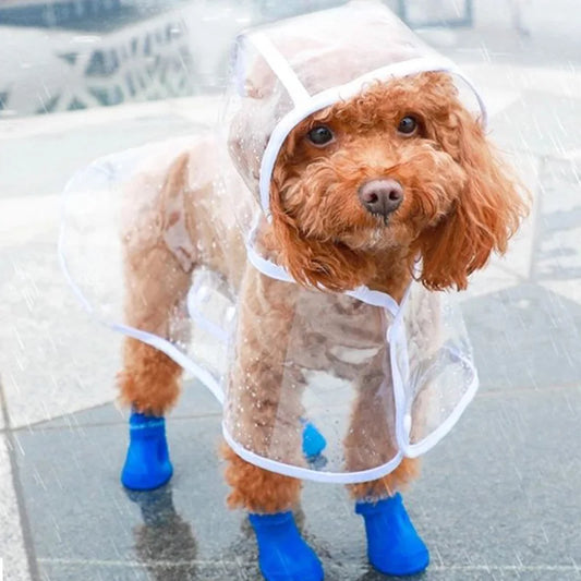 Chaqueta para lluvia